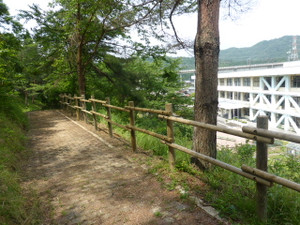 P1080009